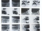 several black and white photographs of a dog laying on the ground