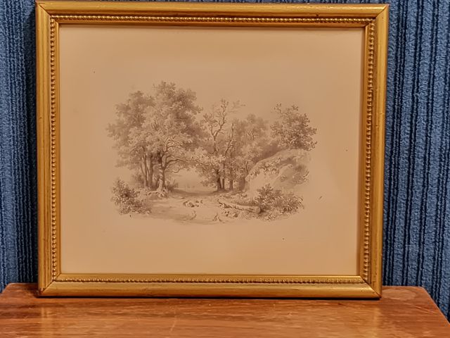 H. VANDERSURCH « Chemin en sous-bois ». Crayon. Signé en bas à dr