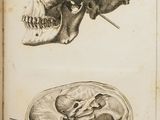 an old book with a drawing of a human skull and a human skull