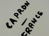 a close up of a plate with a caption on it