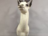 a sculpture of a goat ' s head on a gray background