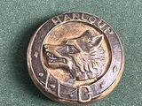 une image représentant une pièce de monnaie sur laquelle figure un chien