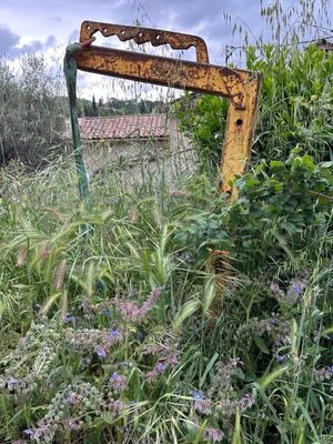 un miroir rouillé posé au milieu d'un champ