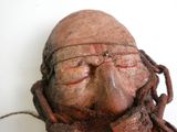 un gros plan sur le visage d'un vieil homme aux dreadlocks
