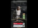 pro plan medium adult dry dog food