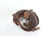 un lézard perché sur une assiette