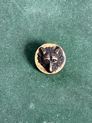 une image représentant une tête d'ours sur un bouton posé sur une surface verte