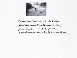Photo 1/3 du lot
