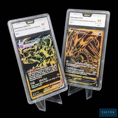 deux cartes à collectionner Pokémon dans des pochettes en plastique, sur fond noir