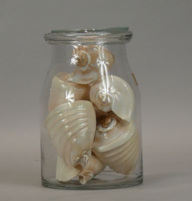a glass jar with shells inside of it on a table