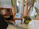 a small table with a plant in it near a window