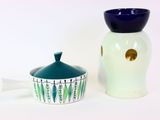 deux vases placés l'un à côté de l'autre sur une table