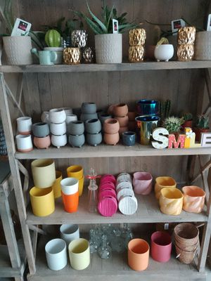 de nombreux pots et tasses posés sur une étagère dans une pièce