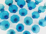 many blue glass vases arranged in a circle on a white surface