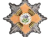 un gros plan d'une broche ornée d'une fleur