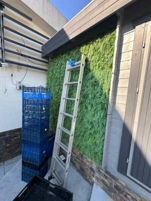 une échelle appuyée contre le mur, à côté d'un immeuble