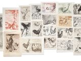 a bunch of drawings of animals and birds on a white surface