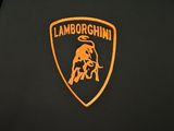 the lamb logo on the seat of a car