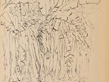 une image représentant un dessin d'un groupe d'arbres dans un champ