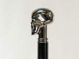 a close up of a walking stick with a skull head on it