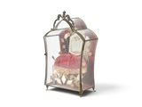 une vitrine en verre contenant une figurine