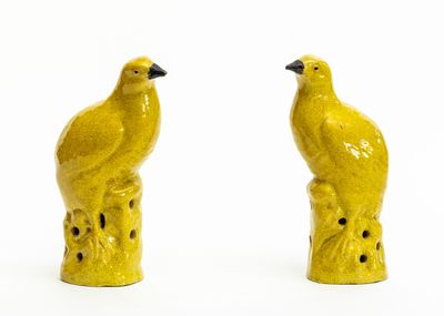 deux oiseaux jaunes perchés sur une souche d'arbre