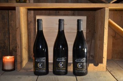 L'épicurienne Côtes de Rhône Rouge, Nicolas Croze 2015, troi… - Photo 1