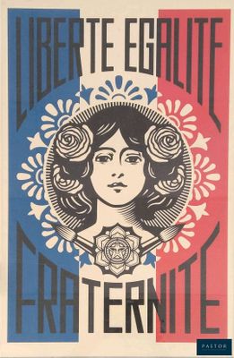 l'image d'une affiche avec un visage de femme