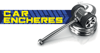 RSVP CAR ENCHERES