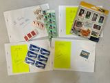 Photo 8/8 du lot