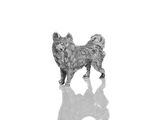 une image représentant un chien debout sur une surface blanche