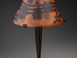 an image of a lamp that is on a table