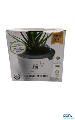 une boîte contenant une plante, sur fond blanc