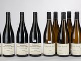 six bouteilles de vin sont alignées sur une table