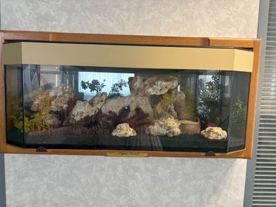 un aquarium accroché au mur de la pièce