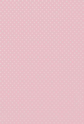 [Lot de 50] - RÖSSLER - Papier de correspondance - A4 Rose e…