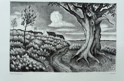 un dessin en noir et blanc représentant un arbre dans un champ