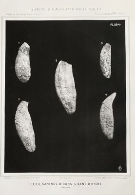 une photo en noir et blanc représentant cinq outils en pierre sur fond noir