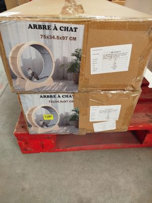 un carton posé sur une palette, avec un chat à l'intérieur