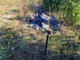 un objet noir au milieu de l'herbe
