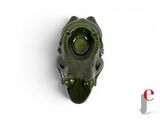 a green frog that is sitting on a white surface