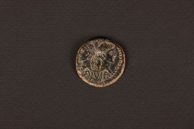 an old coin with a lion on it sitting on a black surface