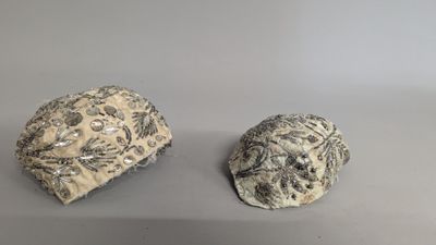 two rocks that are sitting next to each other on a table