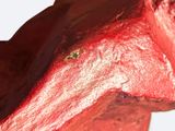 a piece of meat that has been cut in half