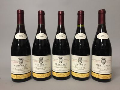 six bouteilles de vin sont alignées sur une table