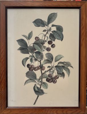 painting of a branch of cherries with leaves and berries in a wooden frame