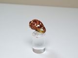 un petit verre contenant un morceau de chocolat