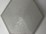 a white plate with a picture of a woman on it