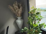 a potted plant in front of a window with a view of a body of water