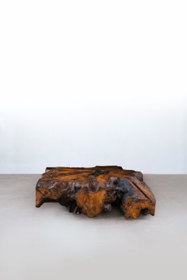 un gros morceau de bois posé par terre